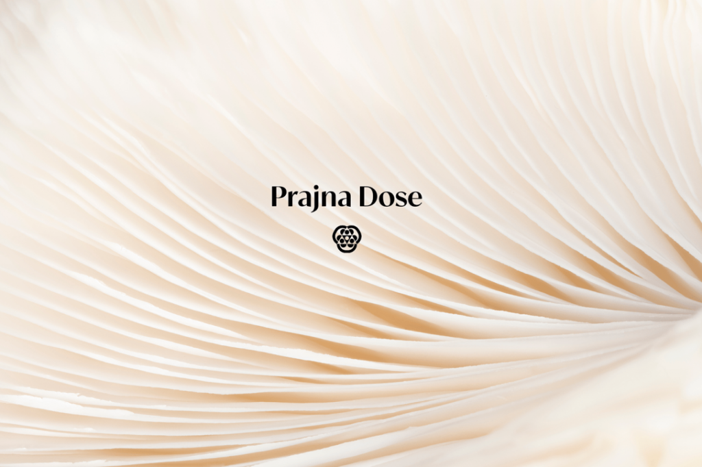 Prajna Dose医药/保健品包装设计欣赏